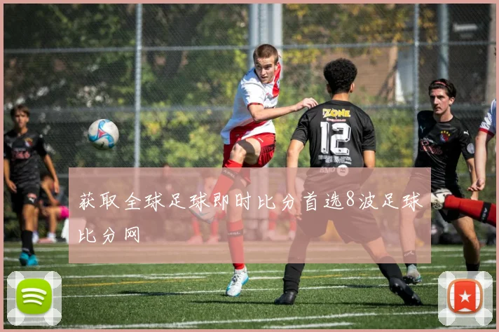 获取全球足球即时比分首选8波足球比分网