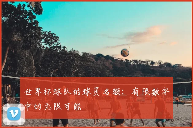 世界杯球队的球员名额：有限数字中的无限可能