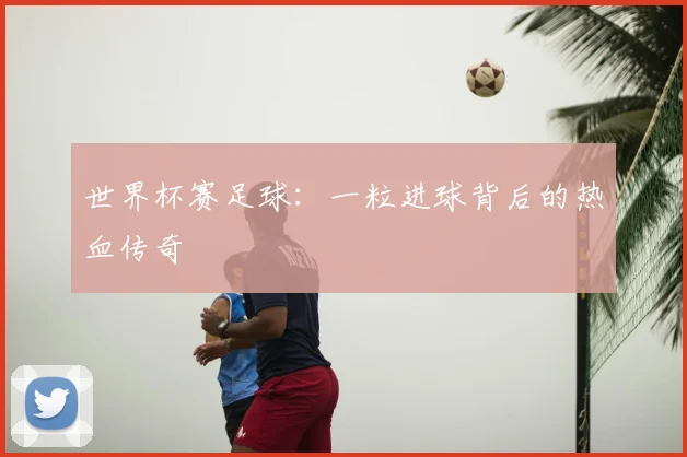 世界杯赛足球:一粒进球背后的热血传奇