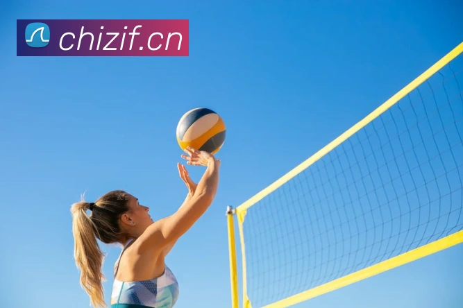 亚搏app官网品牌故事