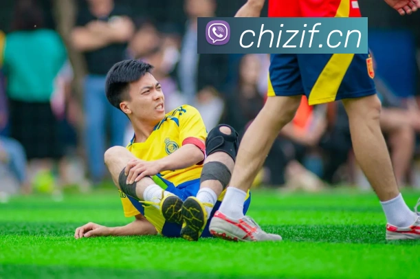 亚搏app官网服务体系